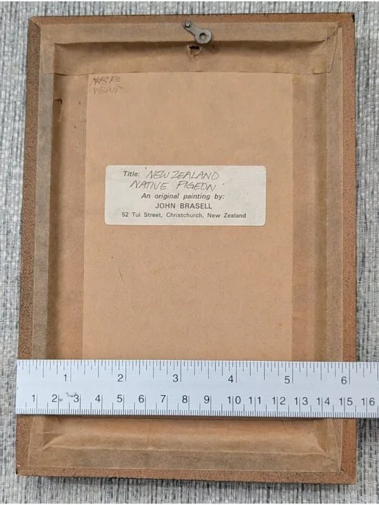 Vintage Framed NZ Pigeon Art John Russell 8.5"x6" Wood Frame bird Rustic Quirky - Picture 12 of 14